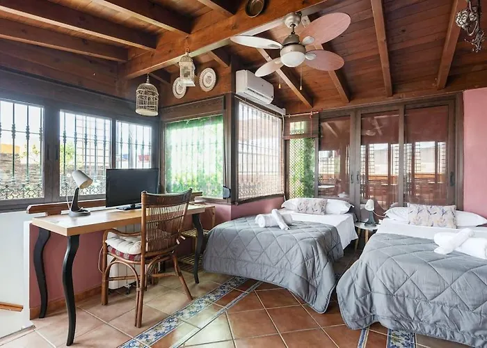 Pineapple Ollerias 27 Duplex With Great Terrace And Parking